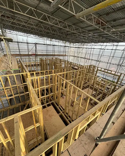 End of week 3 joists done,external walls done, internal walls done #carpentry #c